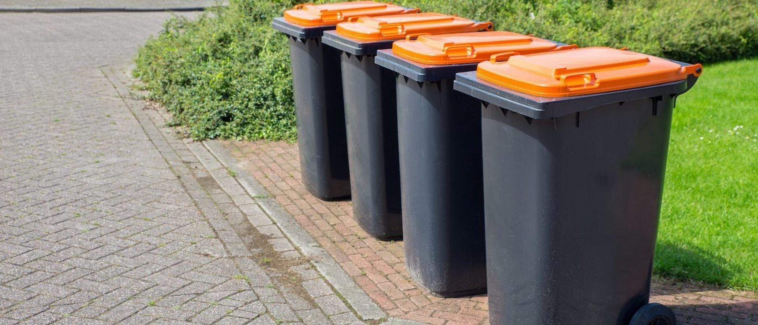 Why Should We Call For Wheelie Bin Cleaners Frequently?